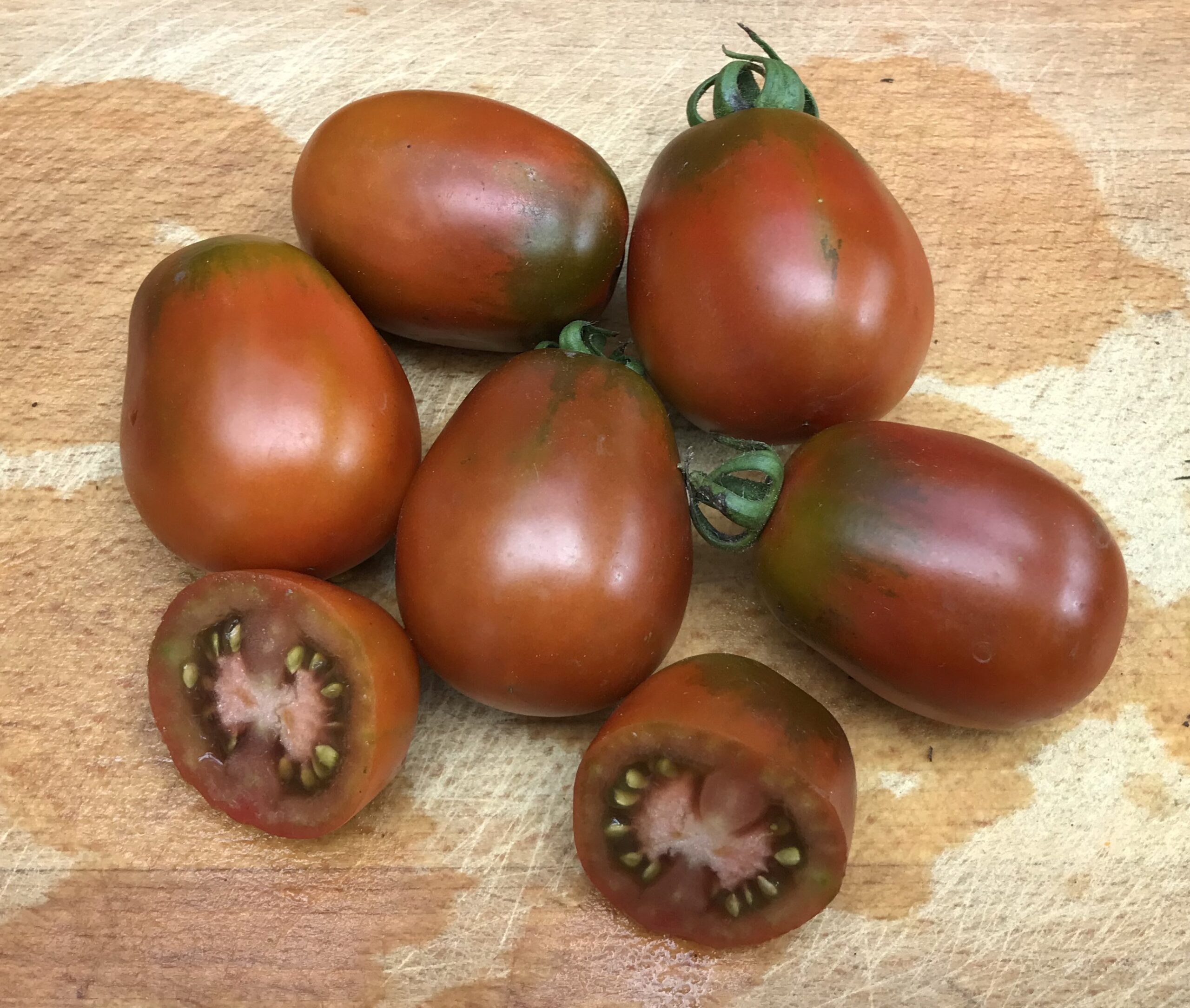 Tomate "Black Plum" - Solanum lycopersicum